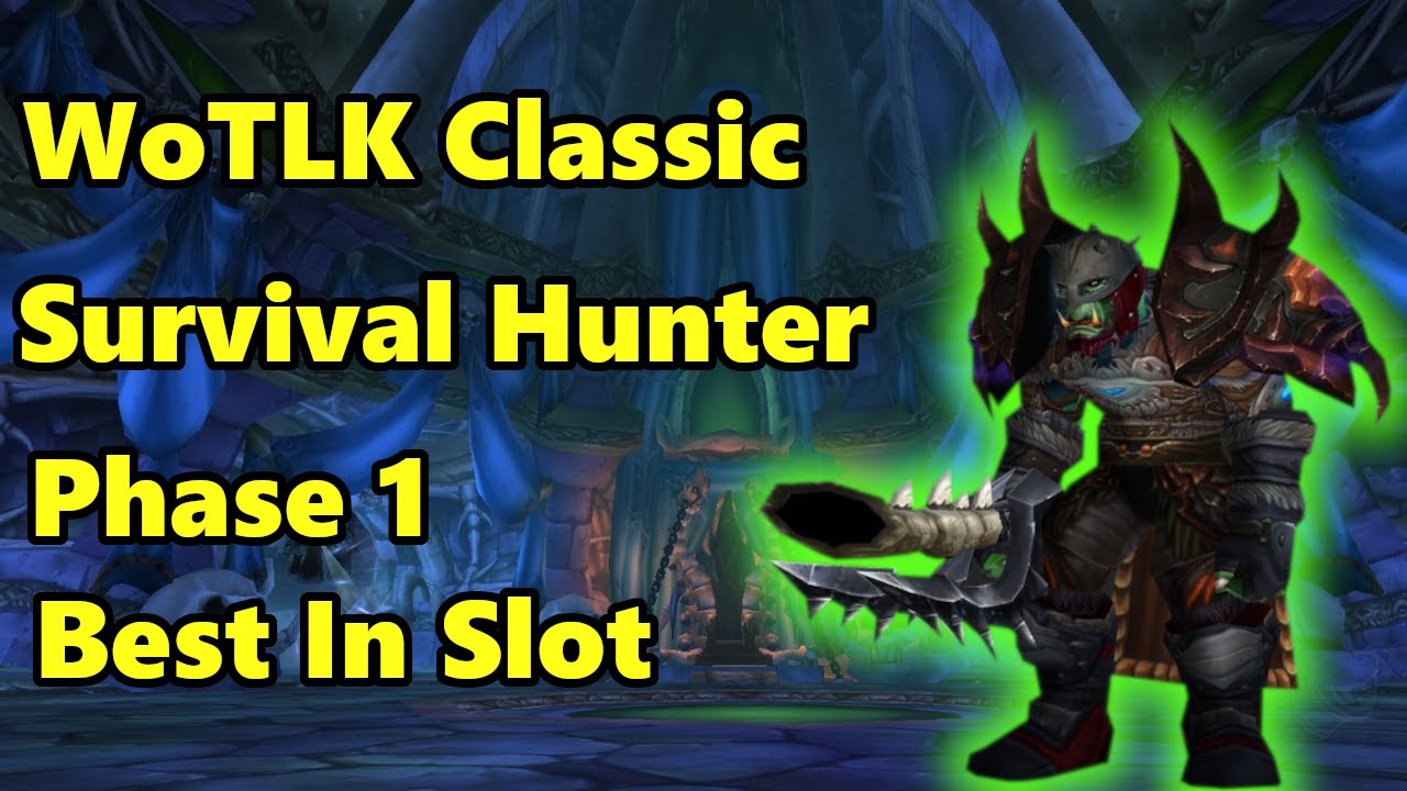 WoTLK Classic | Survival Hunter Phase 1 BiS