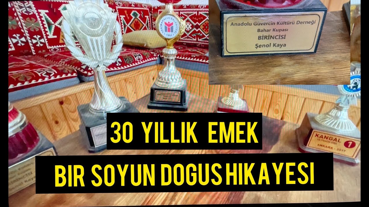 Bir Soyun Dogus Hikayesi 30 Yillik Emek