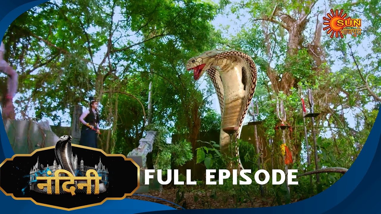 Nandini - Episode 270 | Bhojpuri Naagin show | Sun Bhojpuri | Bhojpuri Serial