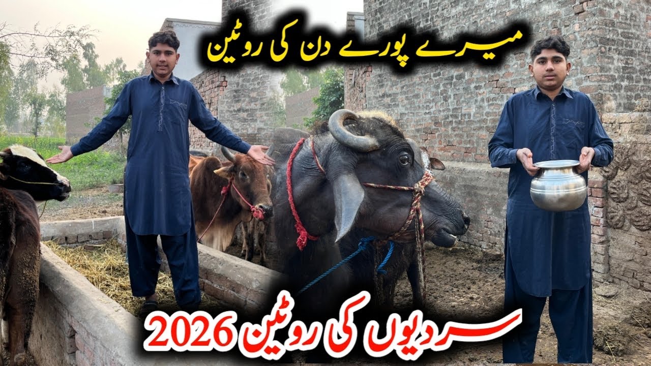 Meri Puri Deniki ￼routine ￼village life vlog 2026