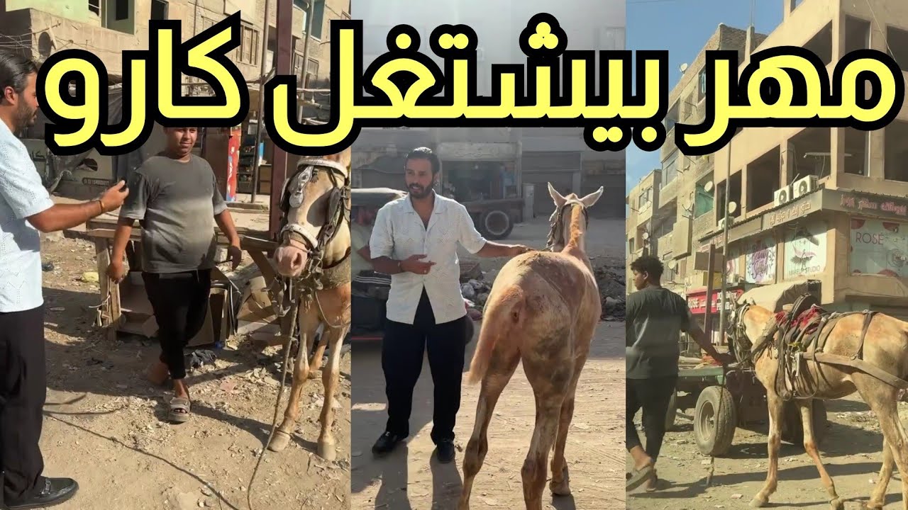 مهر بيشتغل كارو 😳