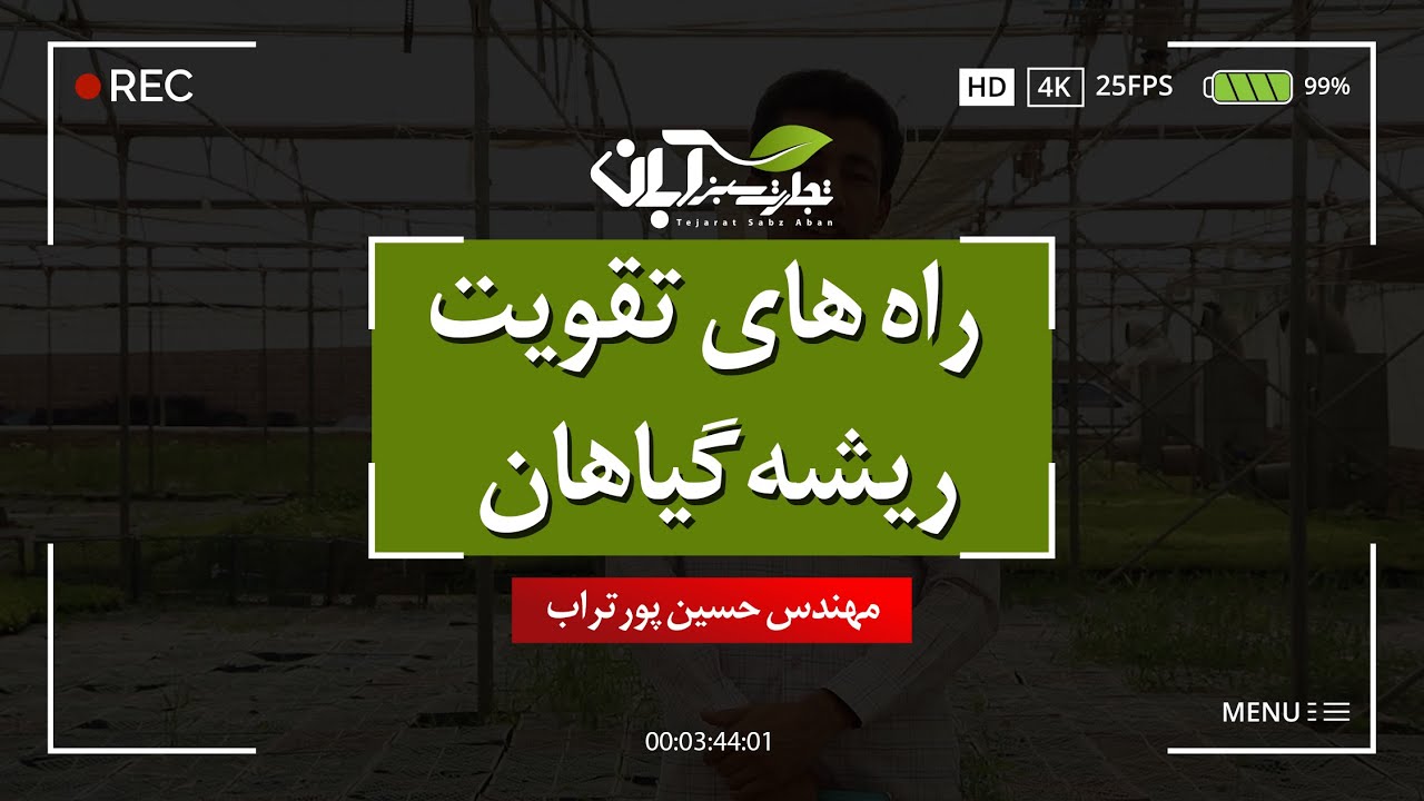 تقویت ریشه گیاهان