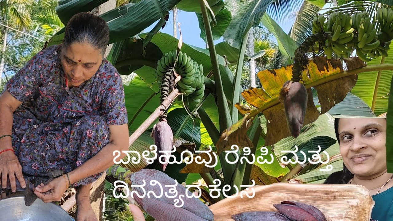 Banana Flower Recipe & A day of Regular Farm work #nature #villagevlog #agriculture  #kannadavlog