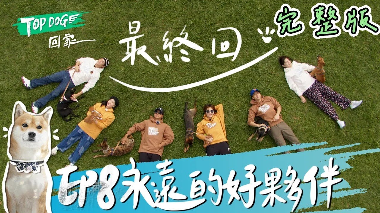 EP8 完整版SUB｜有些相遇 其實是上輩子的約定！分開不是結束 使命完成後 還是永遠的好夥伴！｜TOP DOG回家