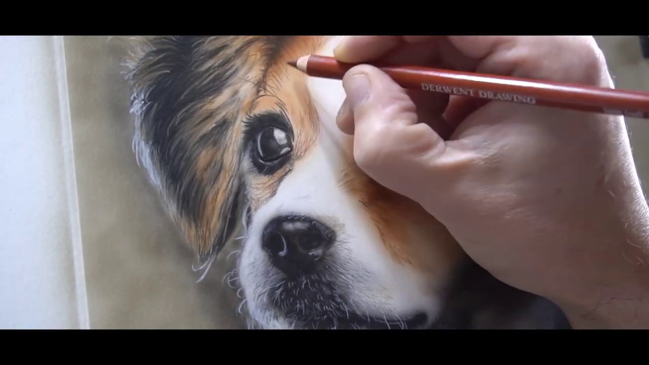 Dog portrait - airbrush and coloured pencils/Andrzej Samson Art