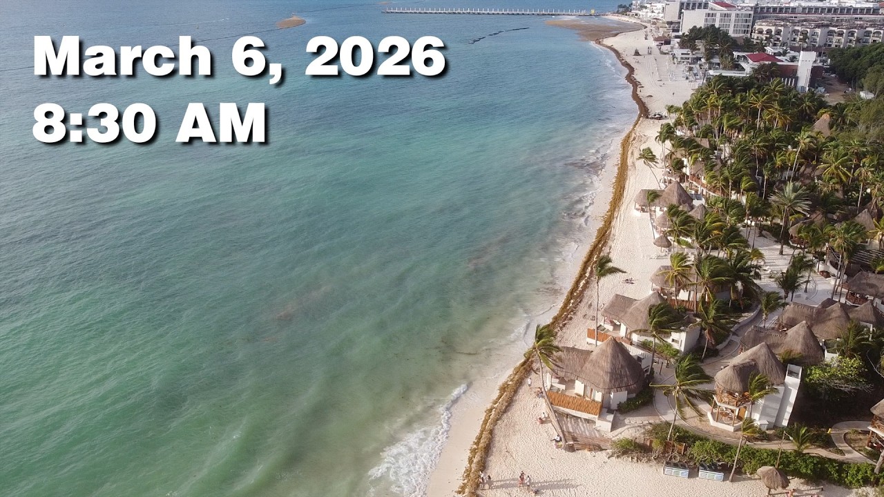 Daily Sargassum Sargasso Seaweed Report at Playa del Carmen, Mexico - March 6, 2026 #sargassum