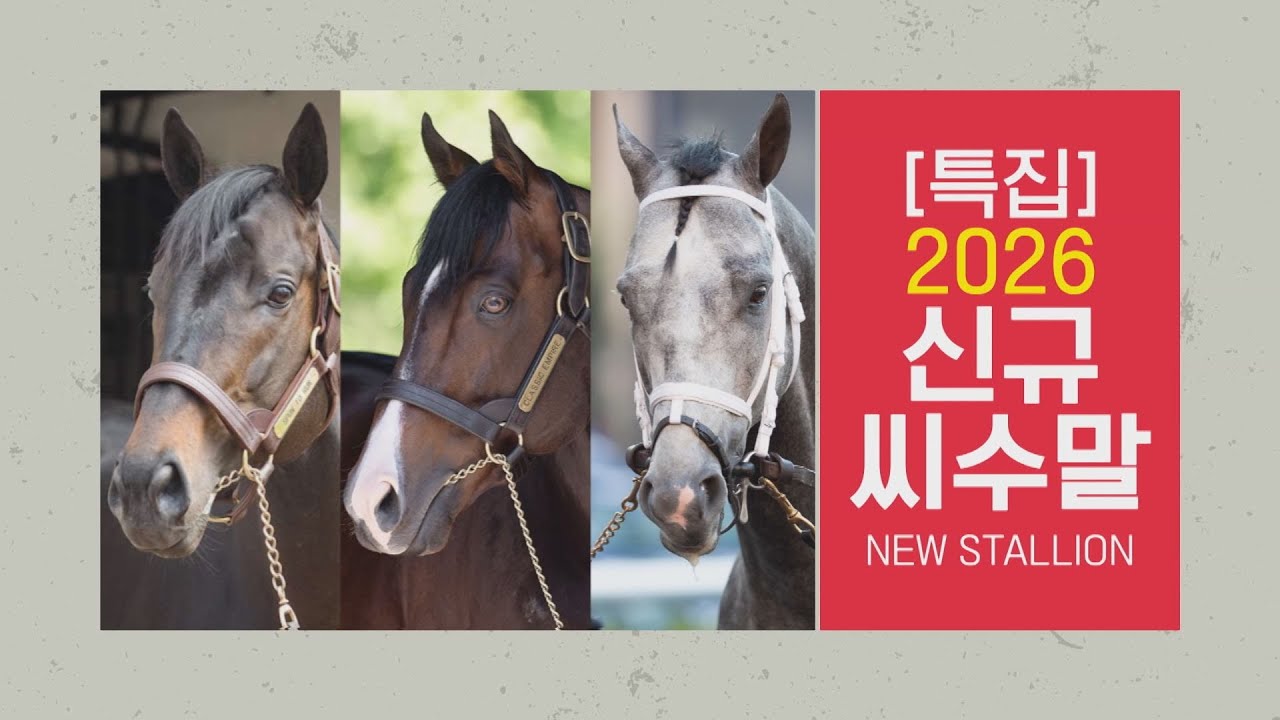 [2026 씨수말 특집] 닉스고가 씨수말로 돌아왔다! 2026년 씨수말 대격돌!