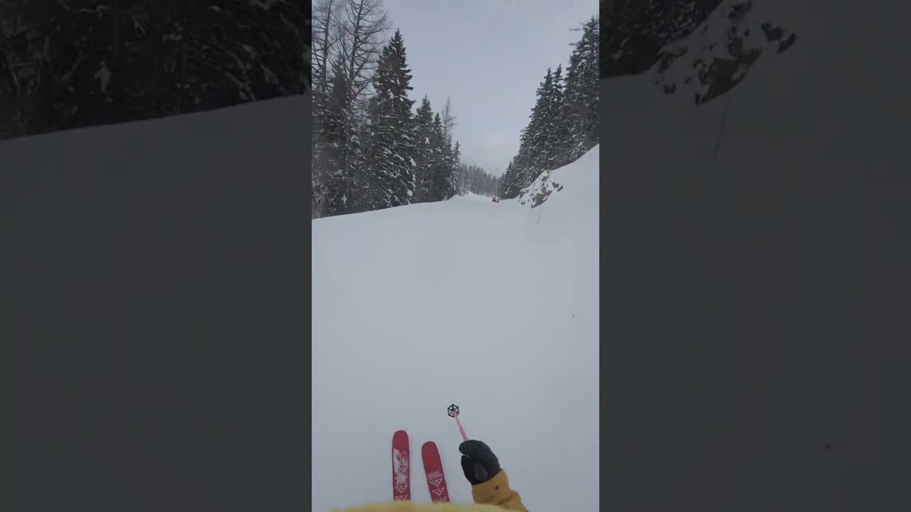 ⛷️Chamonix powder view run