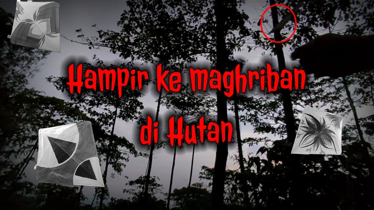 Moro Layangan Putus di Wirja | Hampir Ke Maghriban di Hutan | Hobi Om