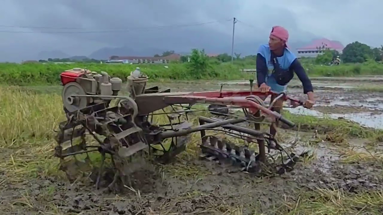TRAKTOR SAWAH CIREBON MEMBAJAK TANAH SAWAH DENGAN GLEBEK PUTAR JOKI CUNGKRING 100