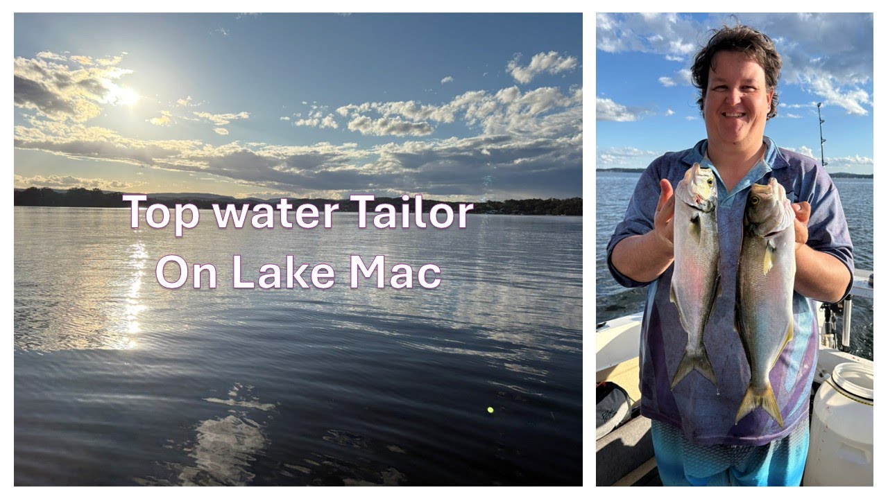 Top water Tailor madness in Lake mac