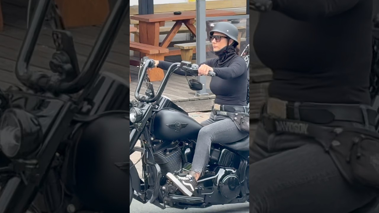 Harley Softail#harley#softail