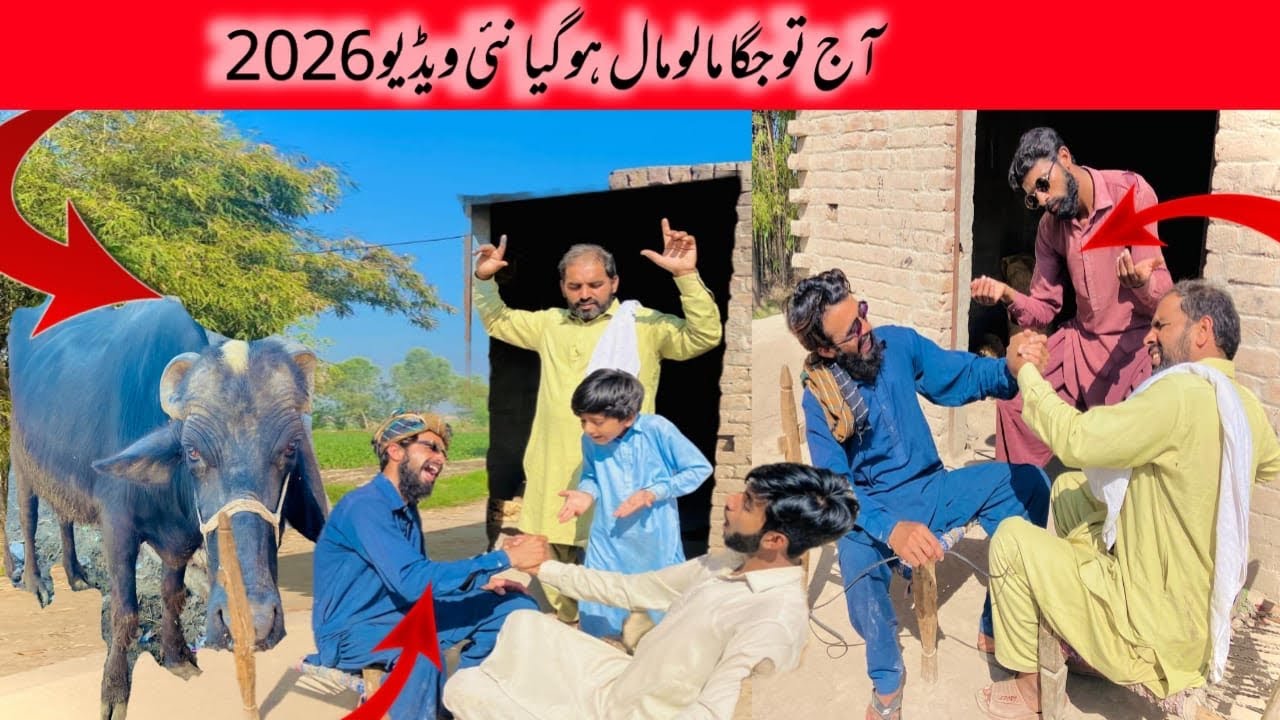Chuhdary Ne Jage Ko Buhat Bara Enam De Dia New Funny Video 2026#shafqat07 