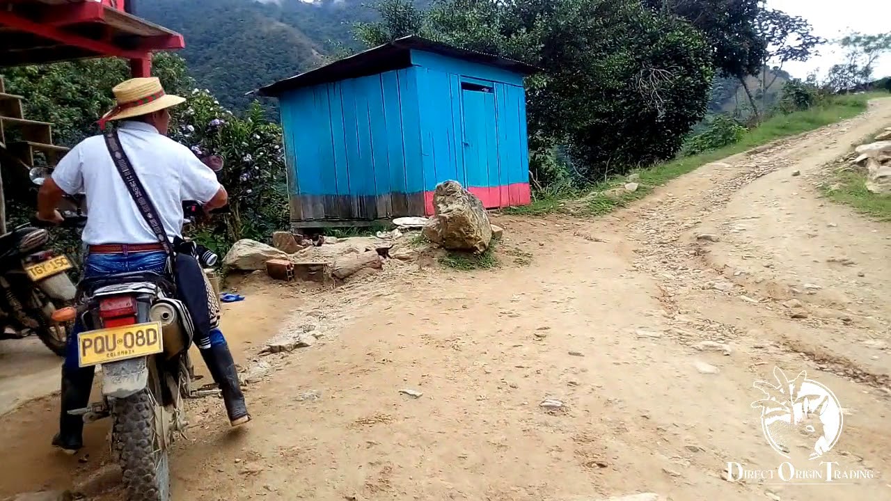 Coffee Origin - Asci'sp Nasa We'sx Indigenous Reserve - Gaitania, Tolima, Colombia