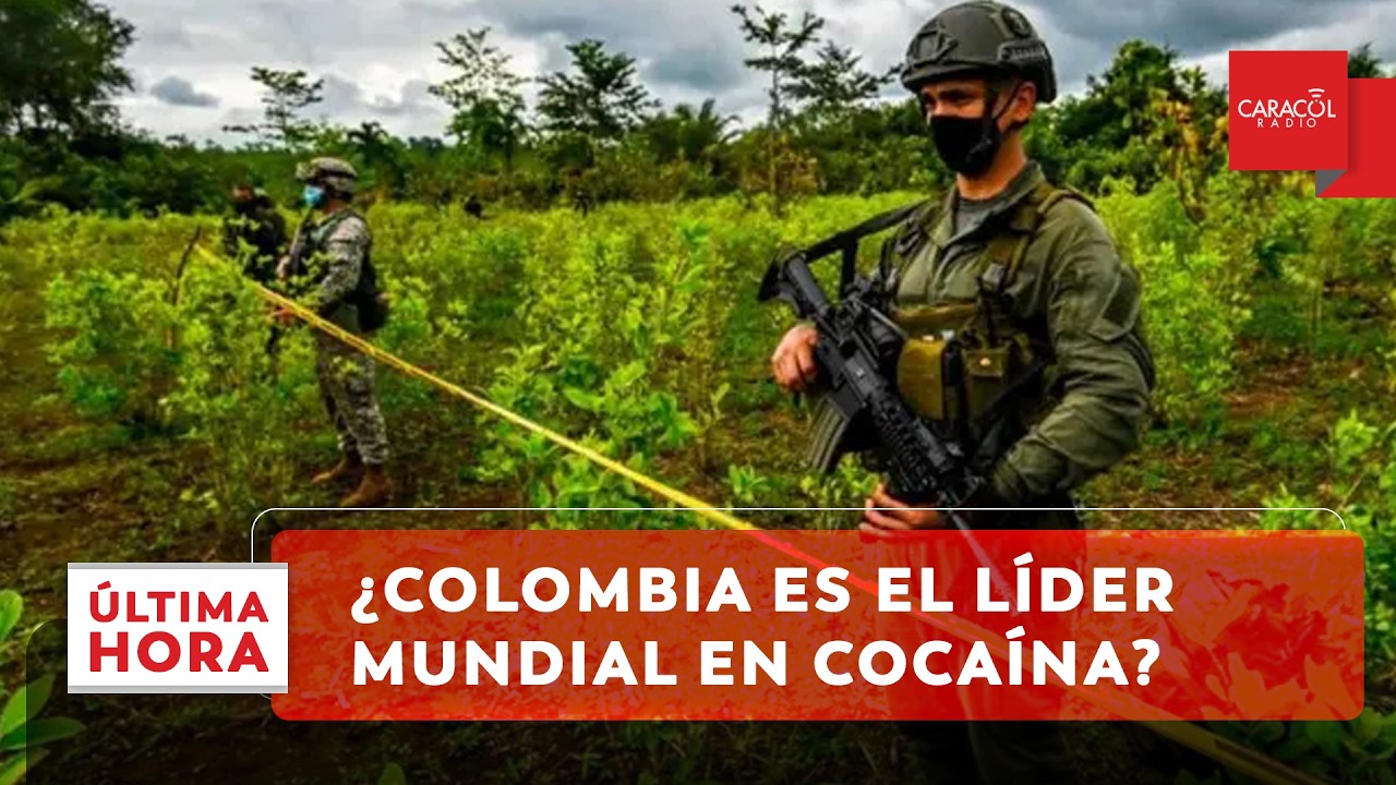 ¿Colombia vuelve a ser el mayor productor de cocaína? Nuevo informe de inteligencia de EE.UU.