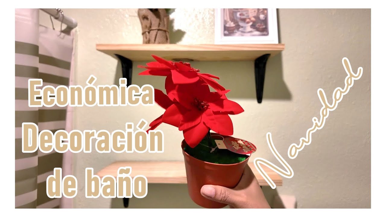 Así renové mi baño ➕ Decoración navideña sencilla