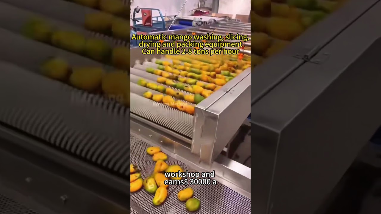#Mango #DriedMango: Automatic Slicing, Drying & Packaging Equipment #DryingMachine #FoodProcessing