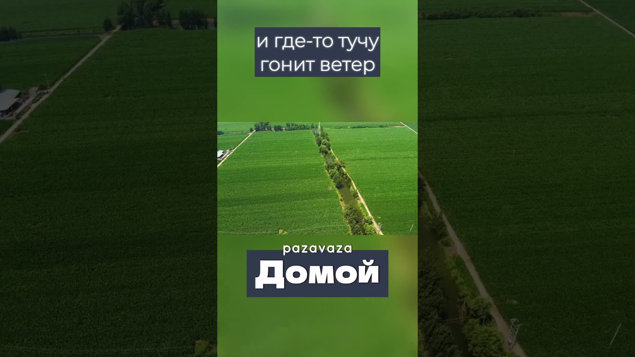 Домой #shorts #музыка  #shortmusic