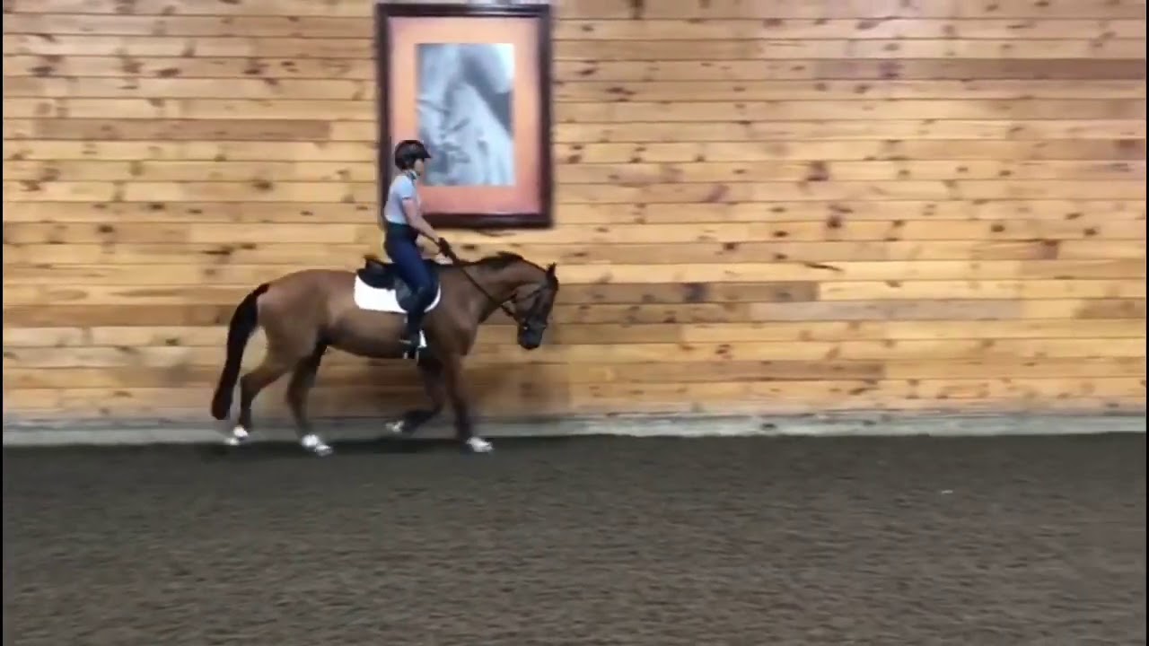 Beezie’s first ride on Kickstart II