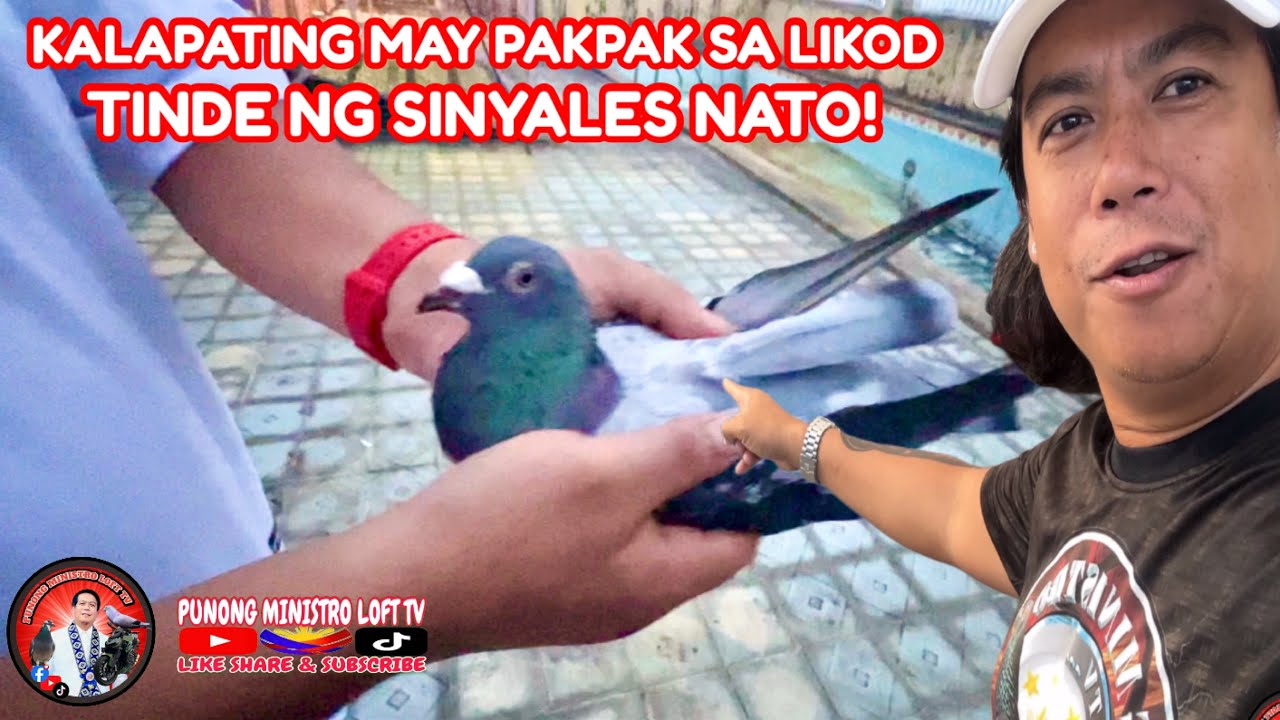 EP1187 KALAPATING MAY BUNTOT SA LIKOD KAKAIBA ITO ALAMIN KUNG BAKIT!