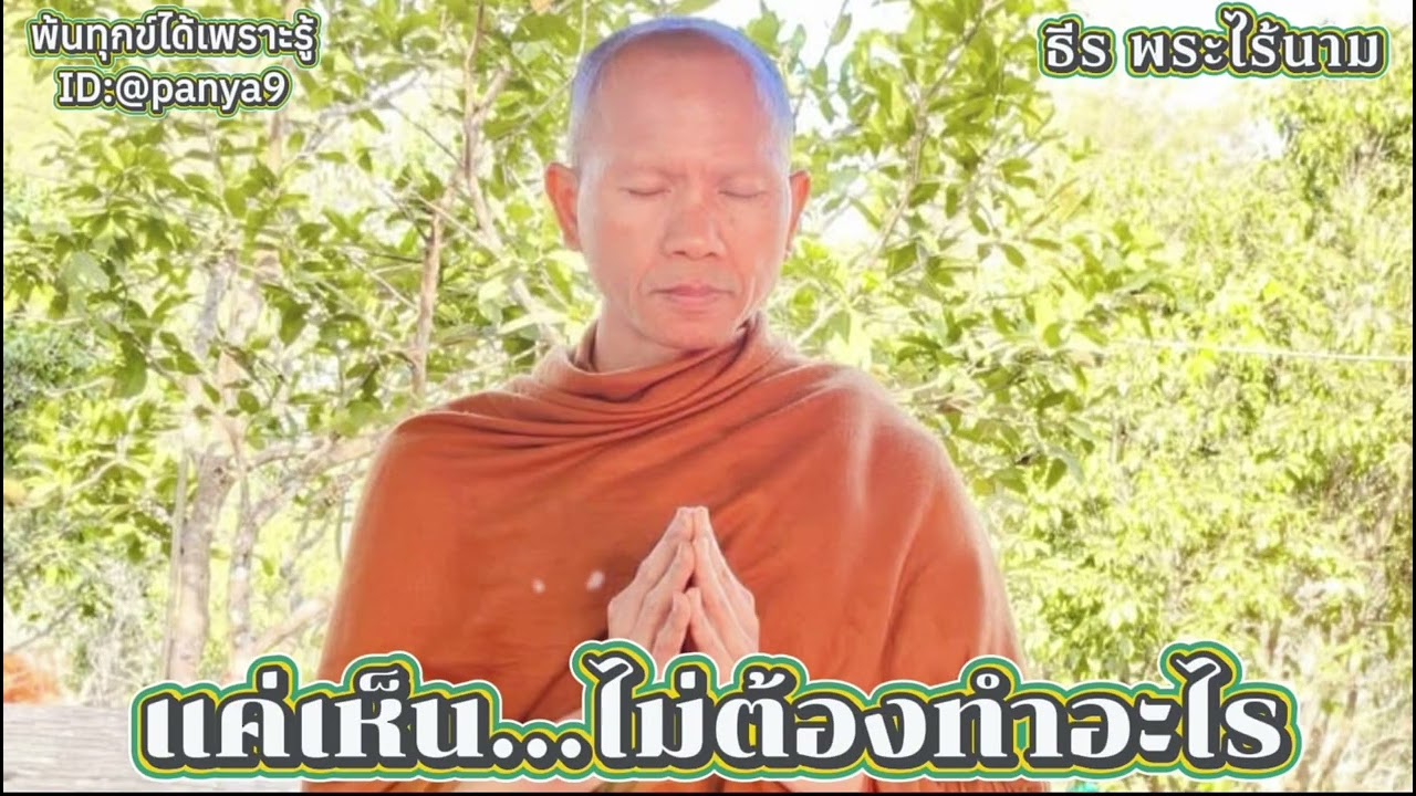 แค่เห็น ไม่ต้องทำอะไร…ธีร พระไร้นาม