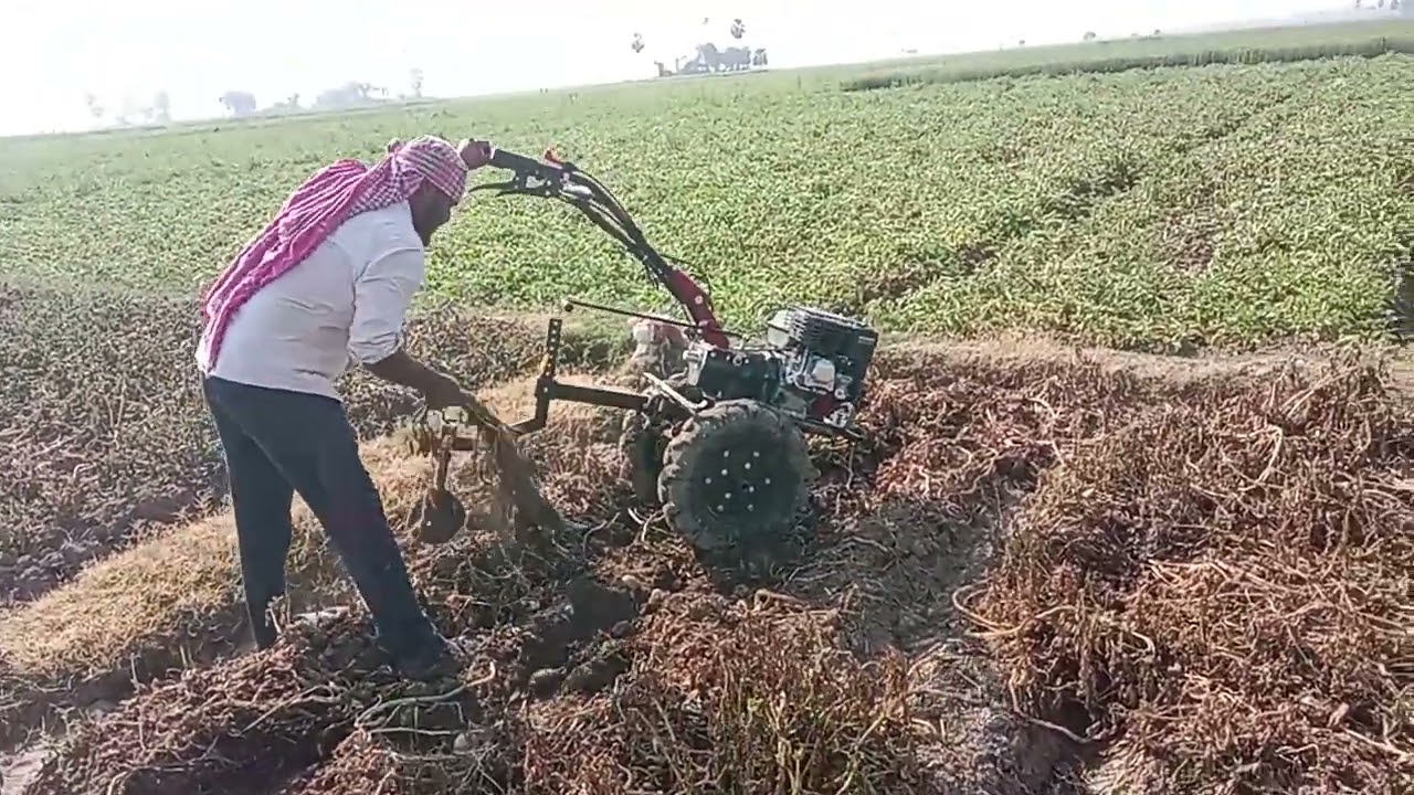Alu tola mesin,, potato neklana bala mesin##farming #farming 