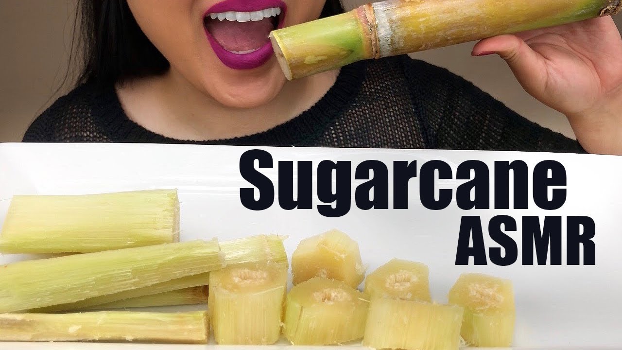 ASMR Sugarcane | Extremely Juicy and Crunchy Eating Sounds | ASMR Phan