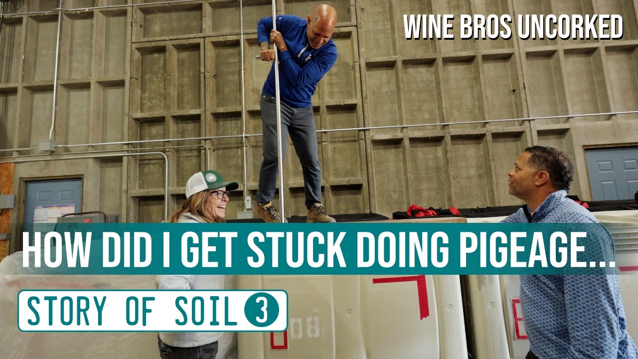🍇 Chapter 3: Story of Soil | Punch Downs & Whole Cluster Pinot| Wine Bros Uncorked