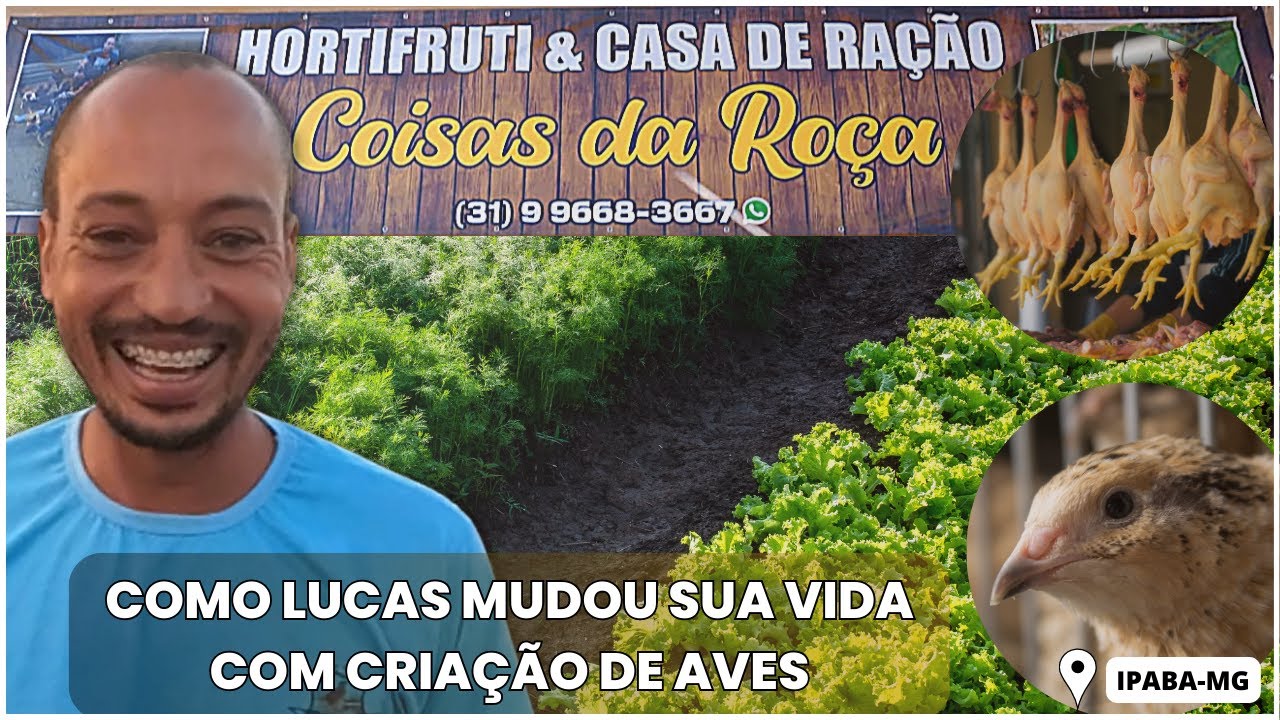 HISTÓRIA DE SUCESSO: Como a CRIAÇÃO de CODORNAS  mudou a vida do Lucas