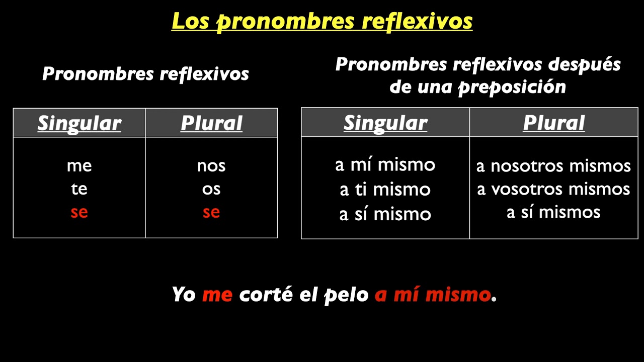 3305 Los verbos reflexivos y acciones recíprocas V2