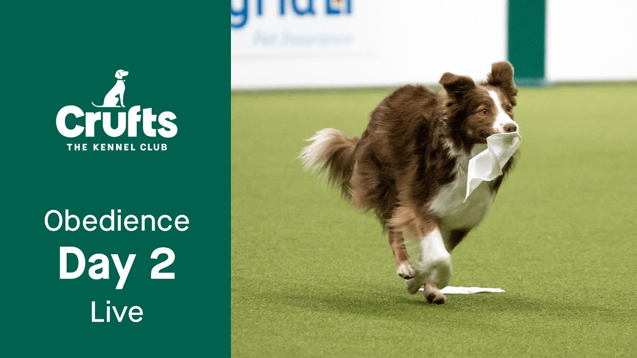 Obedience Day 2 LIVE | Inter-Regional Obedience | Crufts 2023
