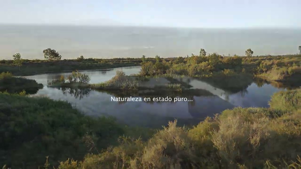 Campo a la venta en General Alvear, Mendoza, Argentina