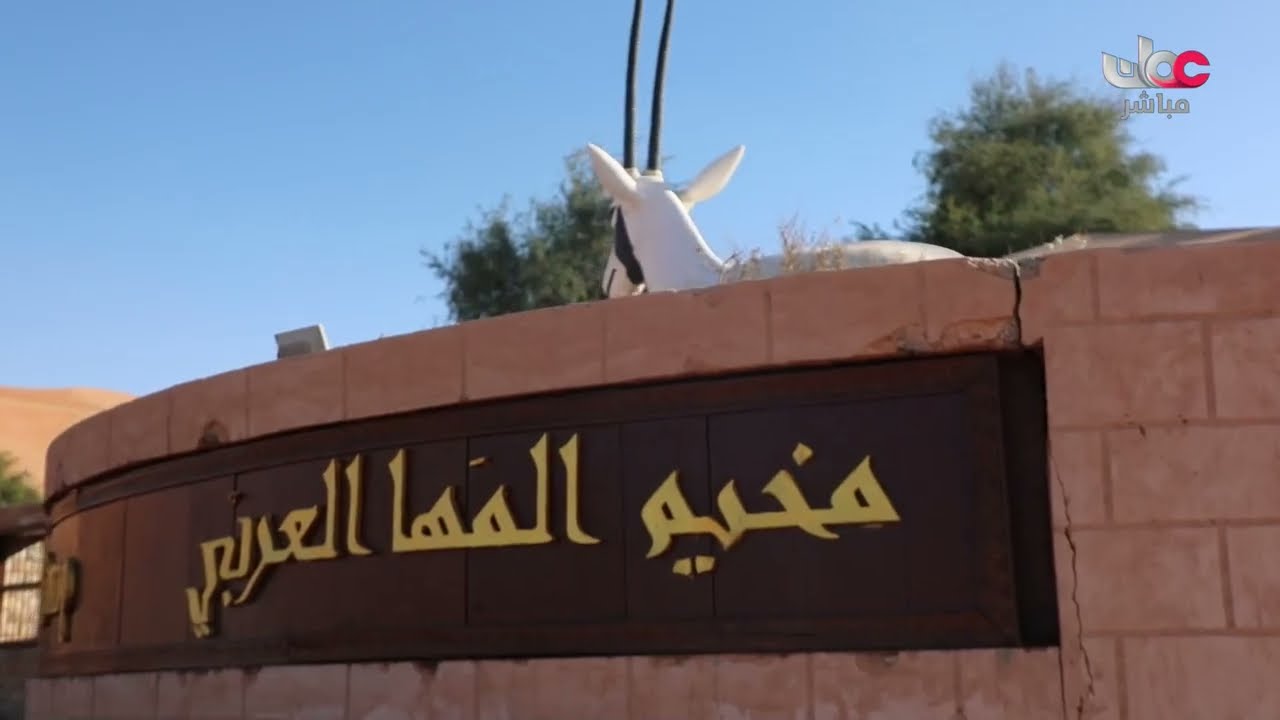 مخيم المها العربي في ولاية بدية