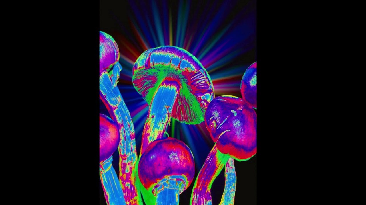 Xangang StoopidXool type beat Shrooms ( Rievil + SauceiiR )