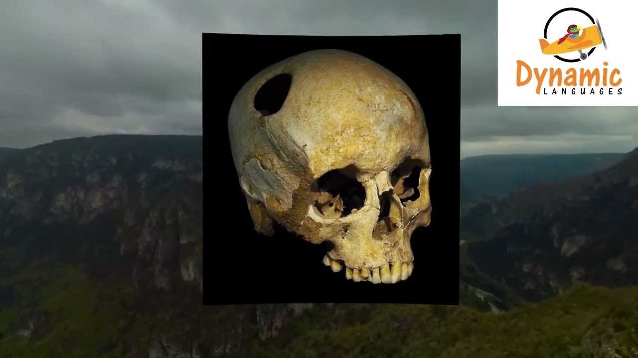 Gorges du Tarn  | App Playthrough | Learn French in VR | Dynamic Languages