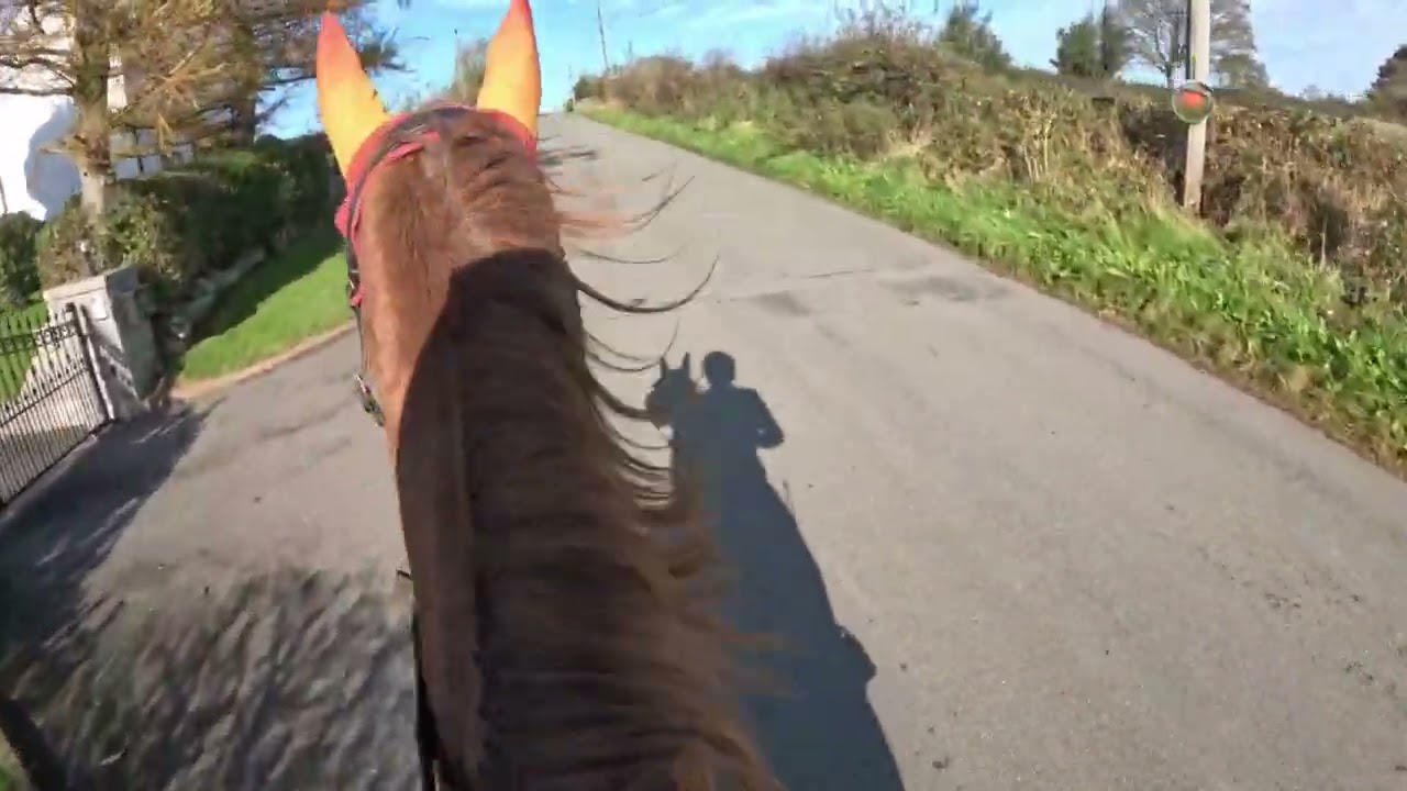 Quick ride then dinner for Skye,  April and The Baroness