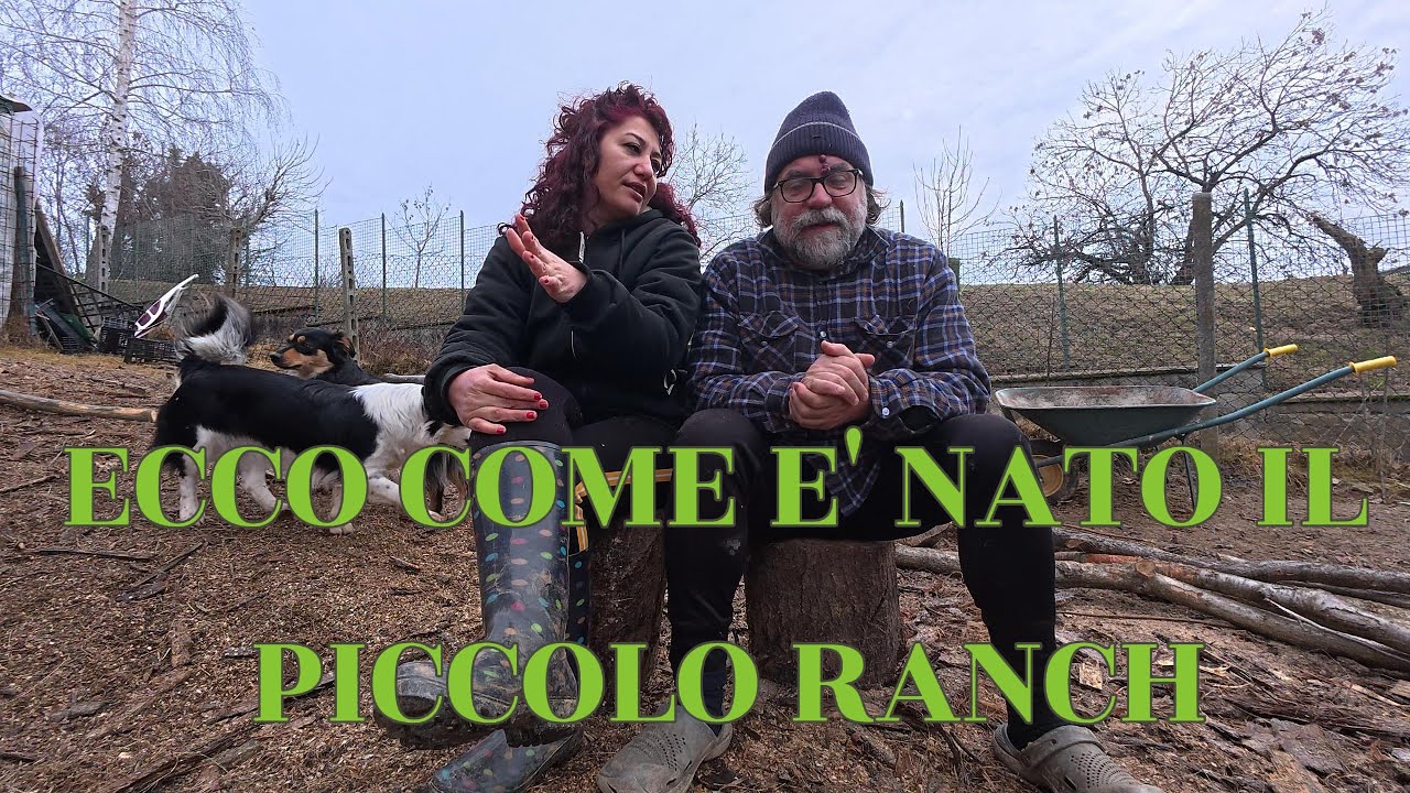 Ecco come è nato il Piccolo Ranch di Montagna #montagna #fattoria #vitainmontagna #animali #farm