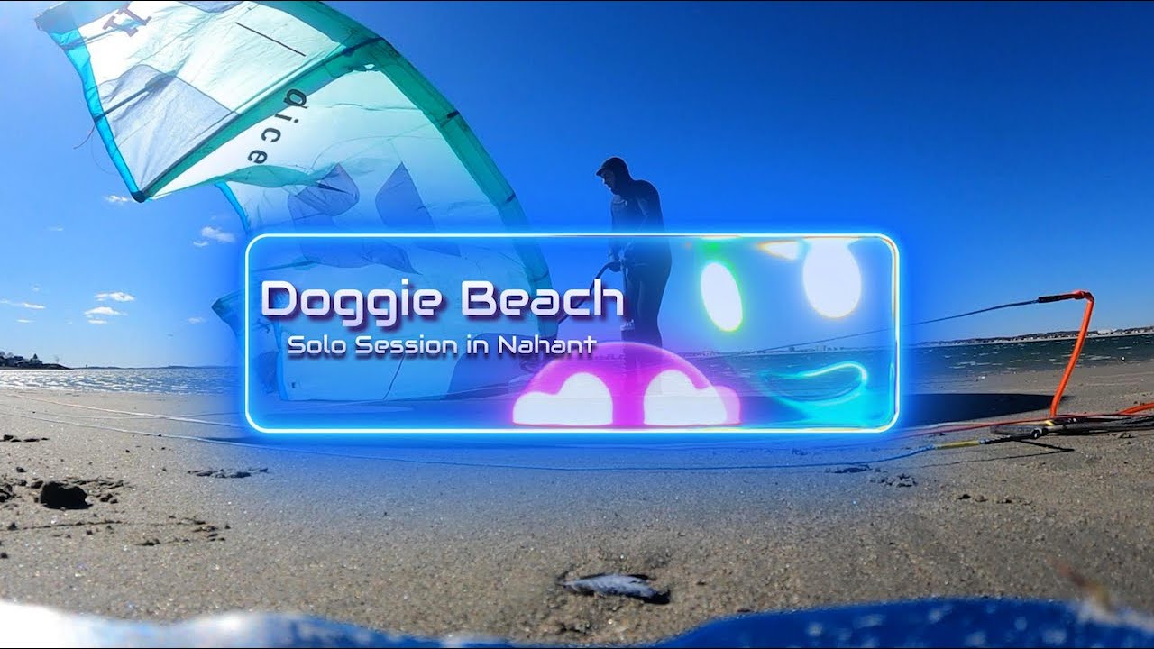 Doggie Beach Solo Session - 2/20/24