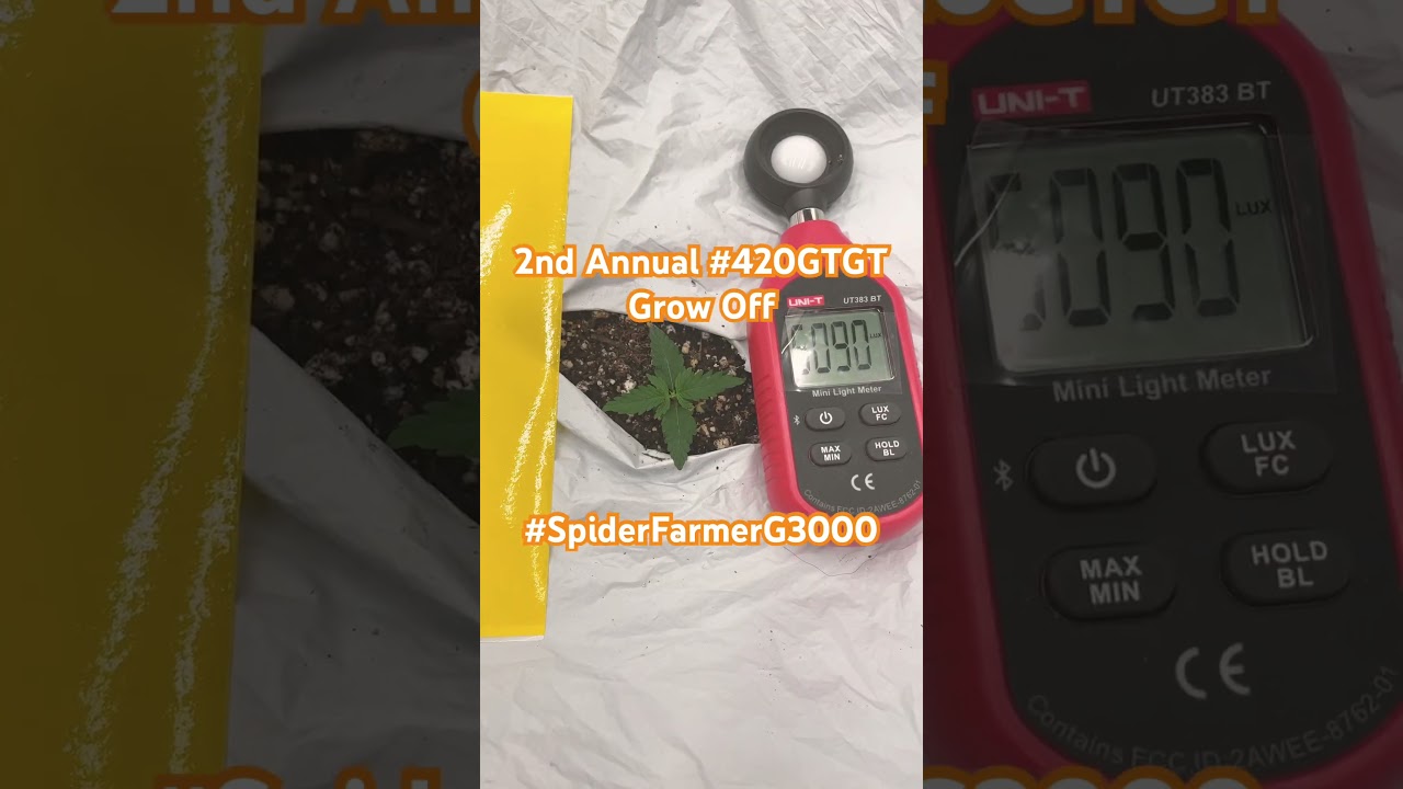 9/16 2nd Annual #420gtgt Sweet Tooth Auto #spiderfarmerG3000