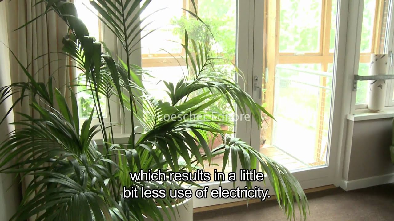 English - Environmental sustainability (A1-A2 - with subtitles)