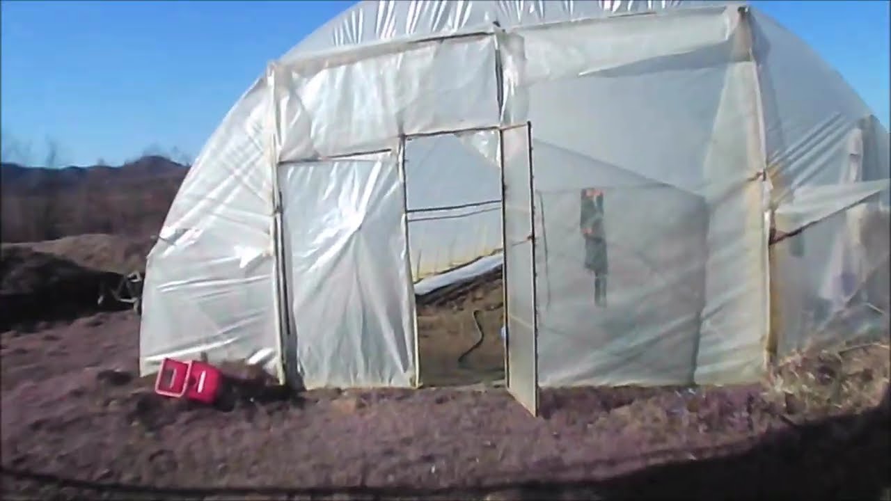 Radish planting {Retek ültetése}