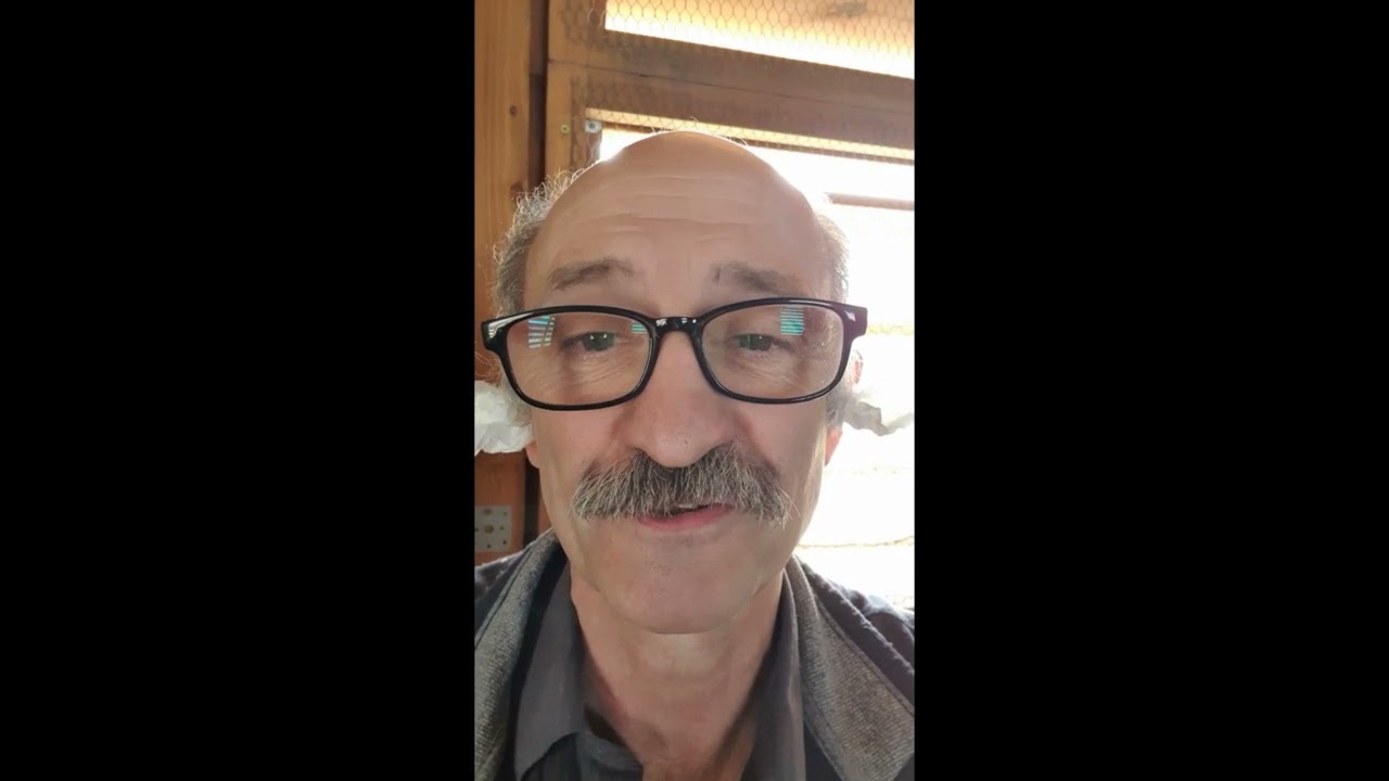 Mezőfalvi harangok