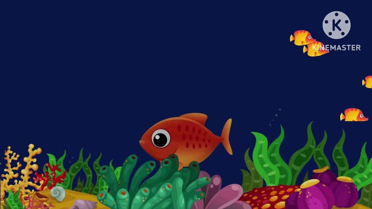 Fish see senory 