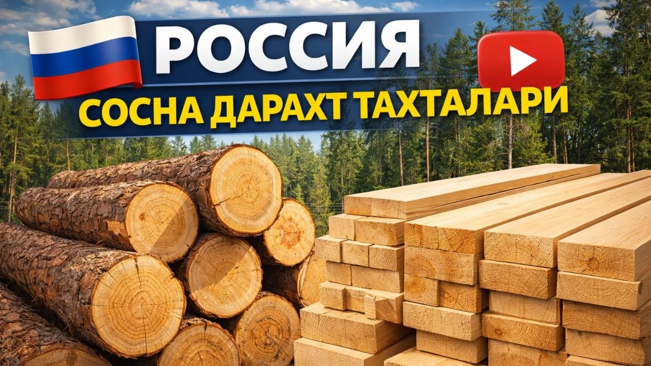 Sosna Taxtasi: Rossiyadan Olib Kelingan Eng Zo‘r Material