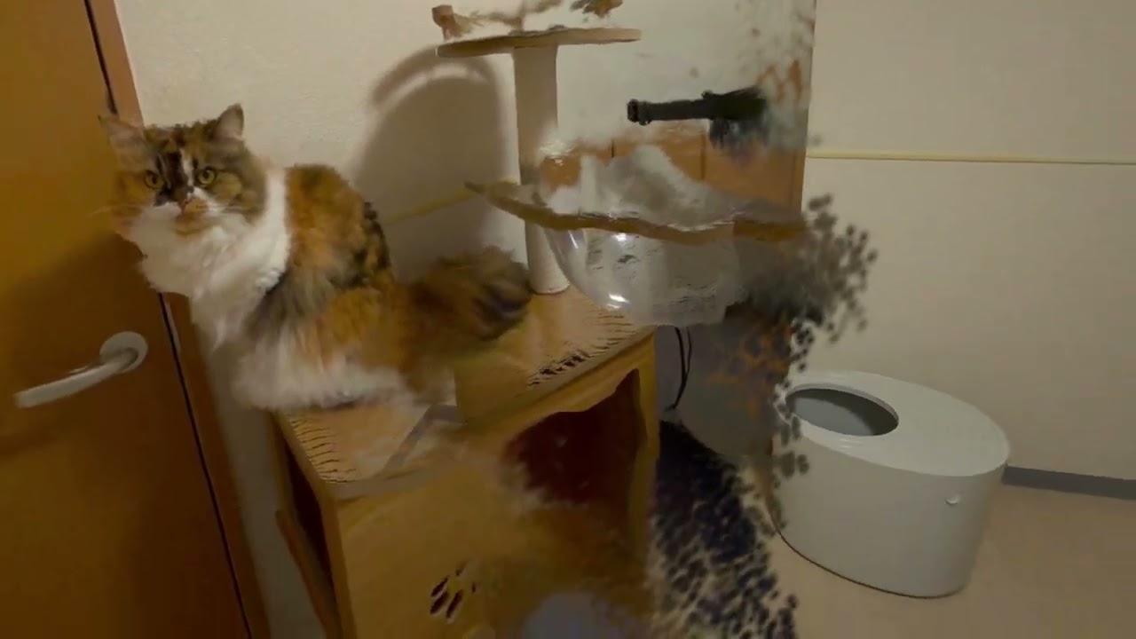 End-to-End 3D Gaussian Splatting Pipeline on Quest (Apple SHARP)