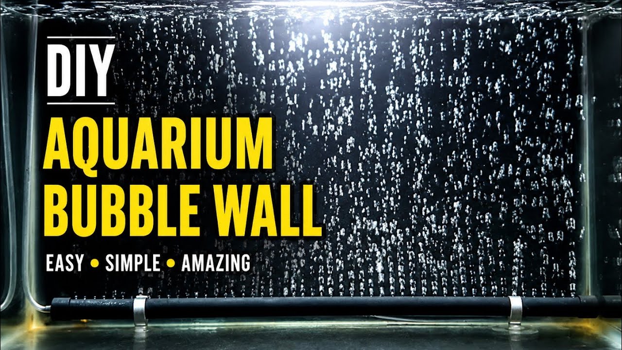 Aquarium bubble wall DIY | DIY aquarium air stone | Aerator air stone DIY