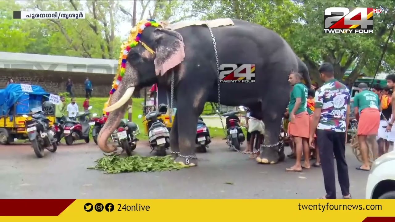 പൂര നഗരിയിൽ ആനയിടഞ്ഞു; ഉടൻ തളച്ചു; ആശങ്കയൊഴിഞ്ഞു