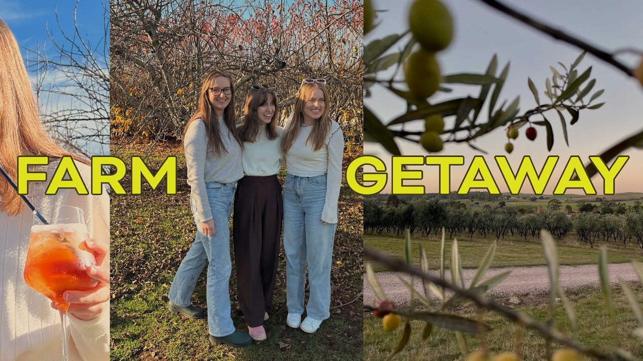 North Tasmania olive picking & celebrating with friends pt 2