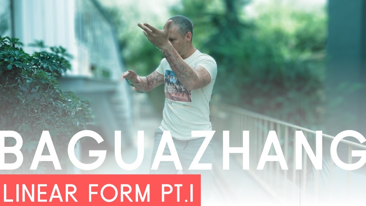 BAGUAZHANG KUNG FU | Linear Form Section 1