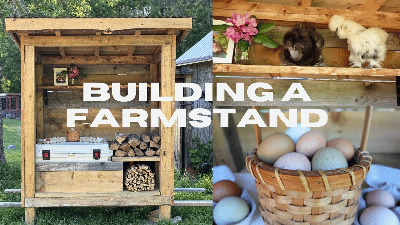 Building a Farm Stand for Firewood and Farm Fresh Eggs - DIY